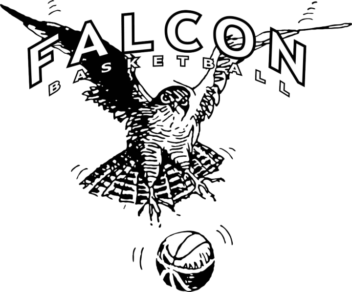 Copenhagen Falcons (Denmark)